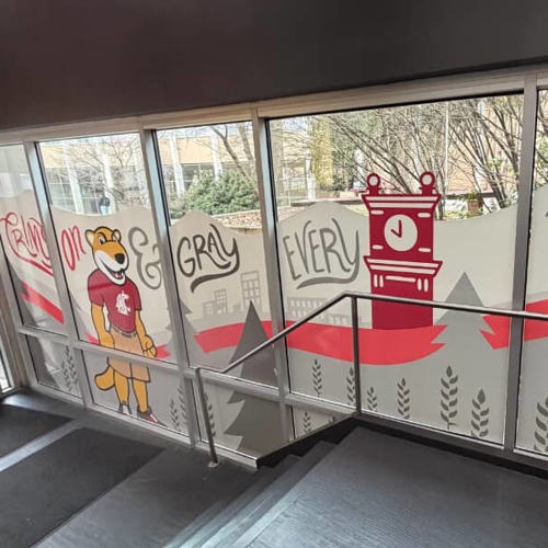 Window Graphics